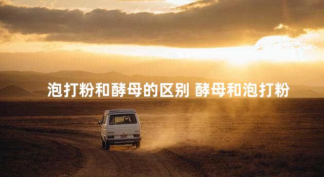 泡打粉和酵母的区别 酵母和泡打粉一起使用